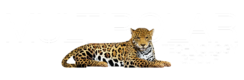 Multipolar Technology Group